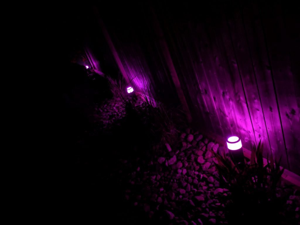 outdoor pink lighting