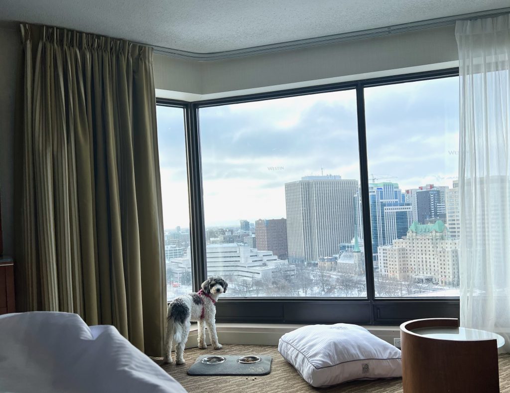 westin-ottawa